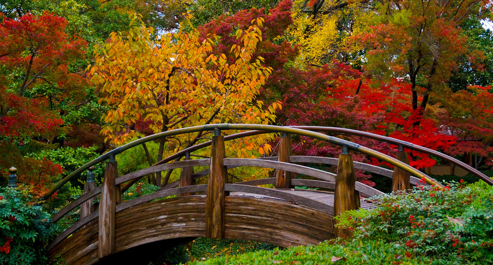 Fort Worth Botanic Garden