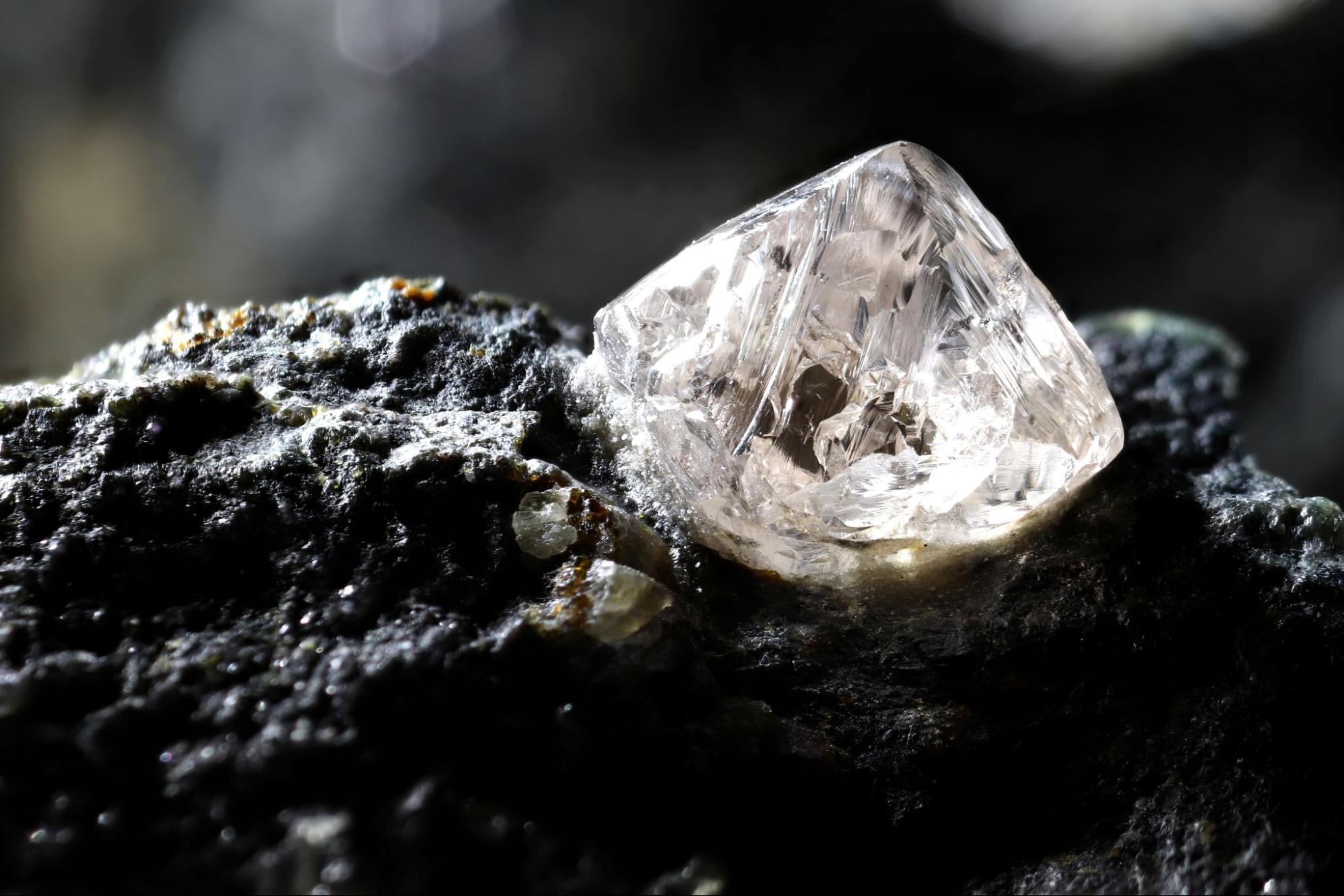diamond in the rough scottsdale