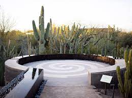 Desert Botanical Garden Phoenix